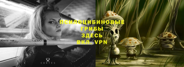 шишки Балахна