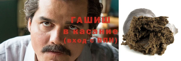 индика Арсеньев