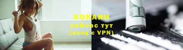 шишки Балахна
