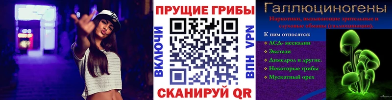 где можно купить   Богородицк  Галлюциногенные грибы Psilocybine cubensis 